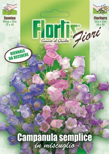 Flortis 4351033 Marien-Glockenblume Mischung (Glockenblumensamen)