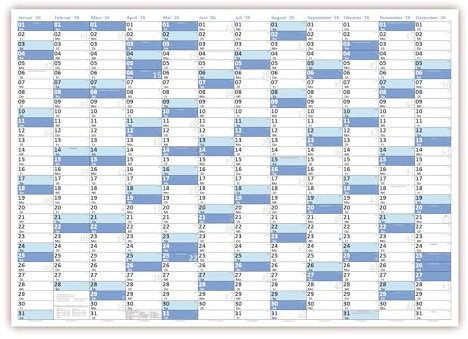 XL Wandkalender DIN A1 2026 blau, nass abwischbar Format 59,4 x 84,1cm Jahresplaner Wandplaner gerollt
