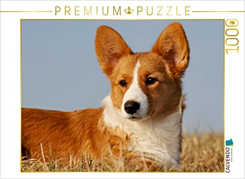 CALVENDO Puzzle EIN Motiv aus dem Kalender Welsh Corgi - Kobold auf 4 Pfoten | 1000 Teile Lege-Größe 64 x 48 cm Foto-Puzzle für glückliche Stunden