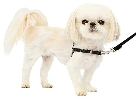PetSafe Easy Walk Hundegeschirr.