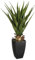 Atmosphera - Agave Artificielle H73 cm
