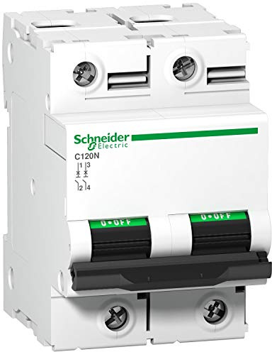 Schneider 2 Pole 100A Mcb-A9N18362