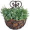 Esschert Design jardinière Murale Demi-Lune tapissée de Fibre de Coco env. 29 x 16 x 37 cm