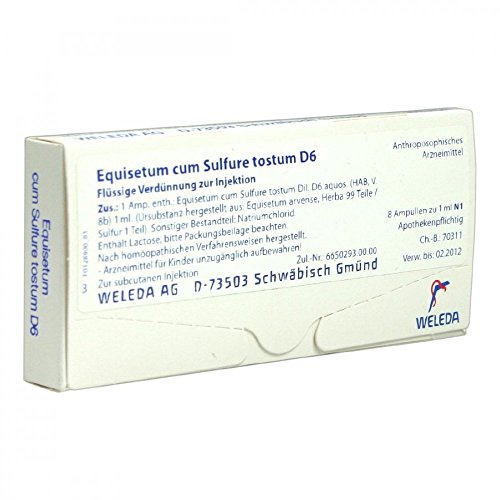 EQUISETUM CUM Sulfure tostum D 6 Ampullen 8X1 ml