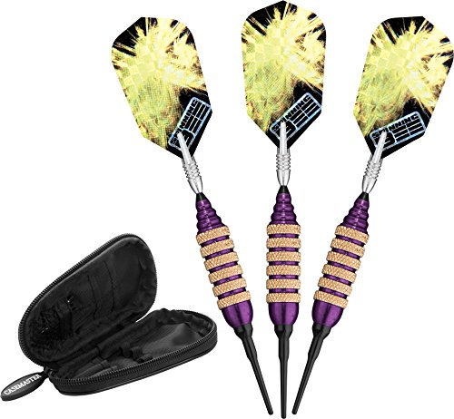Viper Spinning Bee Soft Tip Darts mit Casemaster Aufbewahrungs-/Reiseetui, lila, 16 g