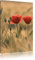 Pixxprint Zwei schöne Mohnblumen, Größe: 80x60cm, Leinwandbild, fertig gespannt, Wandbild, Dekoration, Kunstdruck, kein Poster