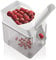 Leifheit - 37200 - Dénoyauteur à Cerises Cherrymat