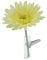 SANDINI Autovase mit Seidenblume/Kultblume Passend für jedes Auto (Gerbera Creme)