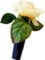 HR-Autocomfort Auto Vase Gelbe Rose Blumenvase mit Halter Vasenset
