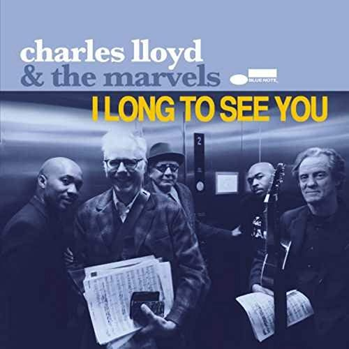 I Long to See You[180g 2 LP]