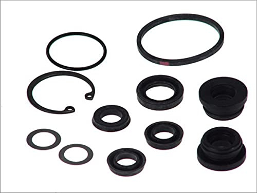 AUTOFREN SEINSA D1557 Reparatursatz Hauptbremszylinder Kompatibel mit RENAULT Clio 2 BB0/1/2, CB0/1/2 7701205739 7701205740