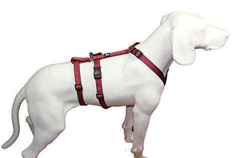 Feltmann NoExit Hundegeschirr Soft-Muster, rot, 20mm/55-75cm