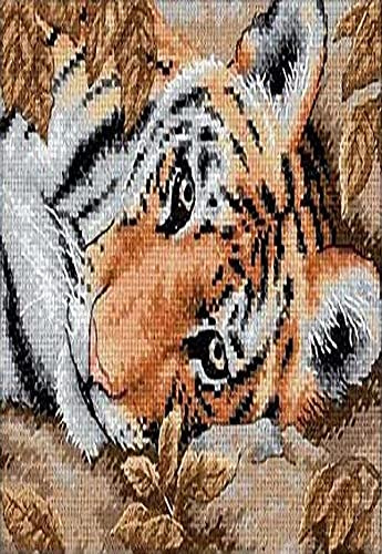 DIMENSIONS 65056 BUGUILING Tiger, Beige