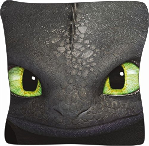 Dreamworks Dragons Ohnezahn / Toothless Kissen 40x40