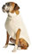 Chilly Dog Tural Cable Hundepullover, Größe M
