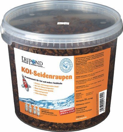 Seidenraupenpuppen geröstet für Koi 5 Liter von Tripond