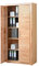Standregal Aktenschrank Bücherschrank Türenschrank Kernbuche teilmassiv 27+47