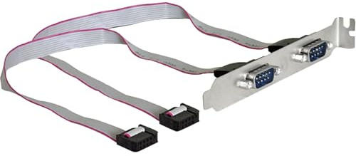 DELOCK Slotblech - Seriell 2xPort