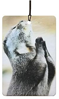 Ali Air Freshener Praying Otter Auto Lufterfrischer - Lufterfrischer - Hängendes Papier - 15 verschiedene Düfte verfügbar - Ideal als Geschenk oder Dekoration für Auto, Zuhause oder Büro
