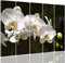 Feeby Image sur toile 5 pièces orchidée Tableau noir et blanc 100x70 cm