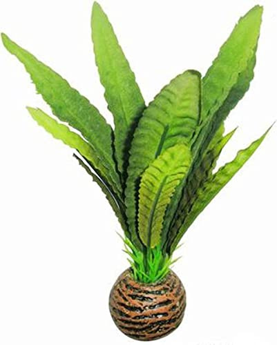 Superfish Easy Plant Foreground 13cm (No 4)