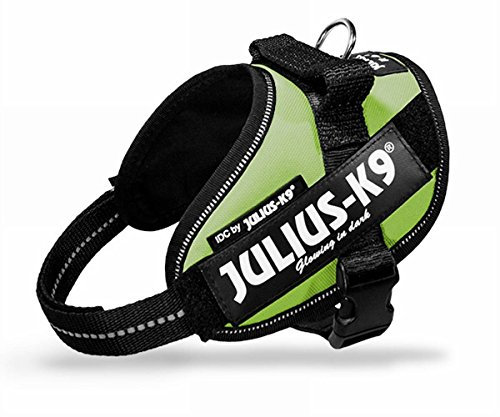 Julius K9 16IDC-KW-MM IDC-Powergeschirr mit Logofeld, mini kiwi grün