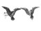 Ohrstecker Adler, Vogel Echt Silber (925-Silber) Neu