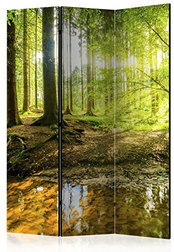 murando Raumteiler Wald Baum Natur Foto Paravent 135x172 cm einseitig auf Vlies-Leinwand Bedruckt Trennwand Spanische Wand Sichtschutz Raumtrenner grün c-B-0183-z-b