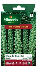 Vilmorin - Sachet graines Chou de bruxelles SANDA