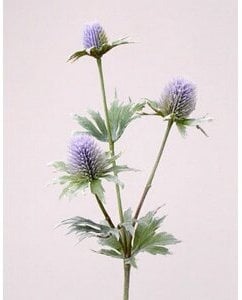 Distel Zweig, mit 3 Blüten, Länge ca. 40cm - künstliche Zweige, Kunstpflanzen, künstliche Pflanzenzweige, Kunstzweige, Dekozweige