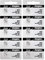 10 373 Energizer Watch Batteries SR916SW Battery Cell by Energizer