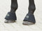 Busse