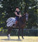 Bucas Riding Rug - Zebra