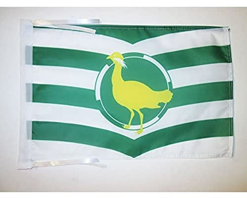 AZ FLAG - Flagge Grafschaft Wiltshire - 45x30 cm Mit Kordel - Wiltshire Fahne 30 x 45 Cm - Flaggen