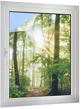 Klebefieber Sichtschutz Waldweg B x H: 75cm x 100cm