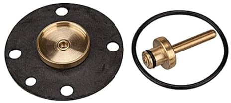 RIEGLER 100943-22.520.4 Verschleißteilesatz, für Filterregler »Standard«, BG 1, 1Stk
