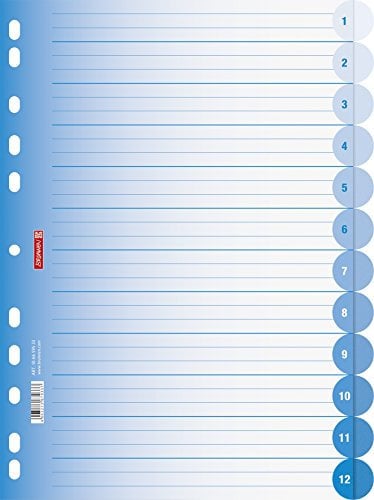 Brunnen 106659533 Ringbuchregister Colour Code (für Ordner und Ringbücher, aus PP, für A4, 12 Tabs) blau / azur