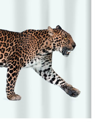 Spirella Rideau de Douche Polyester Leopard 180x200cm Beige & Noir