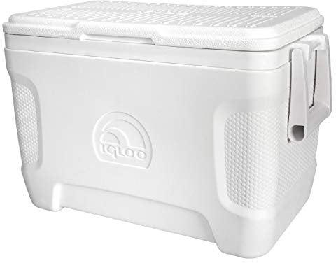 IGLOO Marine Contour 25 Kühlbox, 23 Liter, Weiß