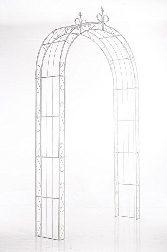 CLP Arche à Rosiers Sun - Arcade de Jardin en Fer Forgé - Support pour Plantes Grimpantes - Arceau de Jardin Treillis de Jardin, Couleur:Blanc Antique