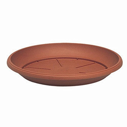 Manne 105331 sIMILCOTTO Soucoupe Pot Rond, 22 cm