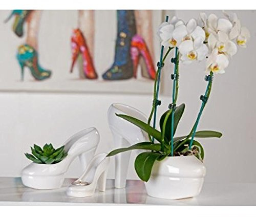 Origineller Behälter Schale Pflanztopf Pumps Deko