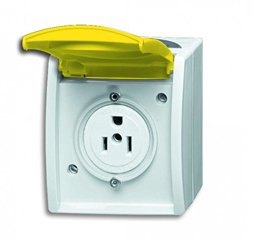 Busch-Jaeger 3015 EWN-53 Nema-Steckdose