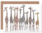 Wee Blue Coo Giraffe Reise Herde Gruppe Von Tieren Spaß Weihnachtskarte