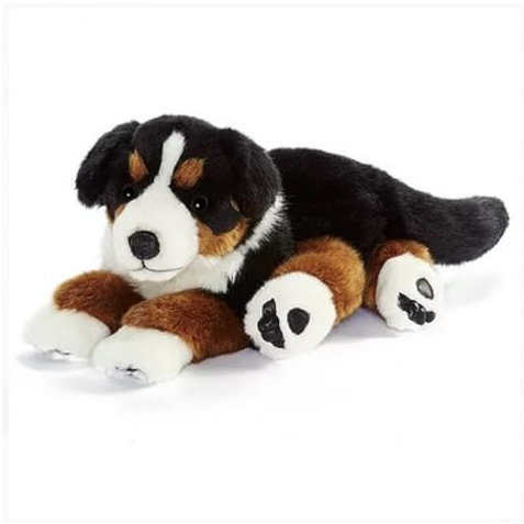 Anima Berner Sennenhund 42 CML