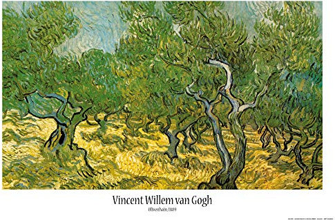 1art1 Vincent Van Gogh Poster Olivenhain, 1889 Plakat | Bild 91x61 cm