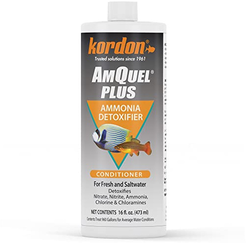 Kordon AmQuel Plus Aquarium Water Conditioner - Instantly Detoxifies Ammonia, Nitrite, Nitrate, and Chlorine Remover for Freshwater & Saltwater Aquariums, 16 Ounces