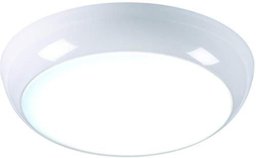 14W Round LED Bulkhead Fitting - Daylight