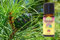 AROMARA Ätherisches Duftöl Fichtennadel Fichtennadelöl/Abies Sibirica 10ml reine ätherische Öle für Duftlampe Raumduft Aromatherapie