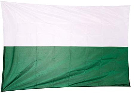Fahnen Kössinger, Hissflagge im Querformat, Fahne Bundesland Steiermark, Hissflagge ohne Wappen, hochwertiger Siebdruck, brillante Farben, weiß-grün, reißfest, 200 x 120 cm, 2,4 m² Fläche